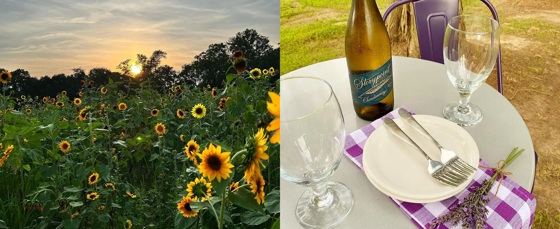 Sunflower field and wine on a table